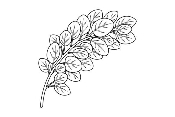 Branch with Leaves Line Art: Graphics for Coloring Pages Amp