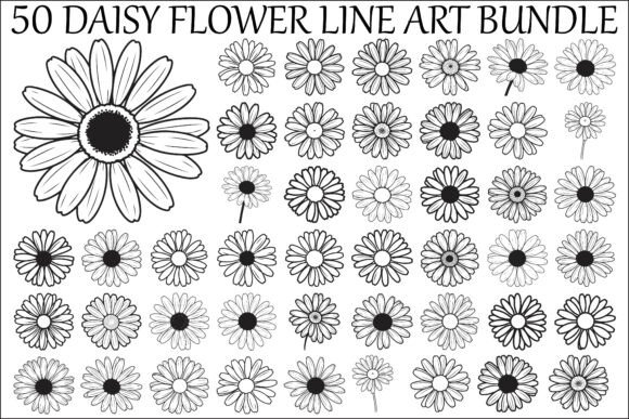Daisy Flower Line Art Vector Bundle