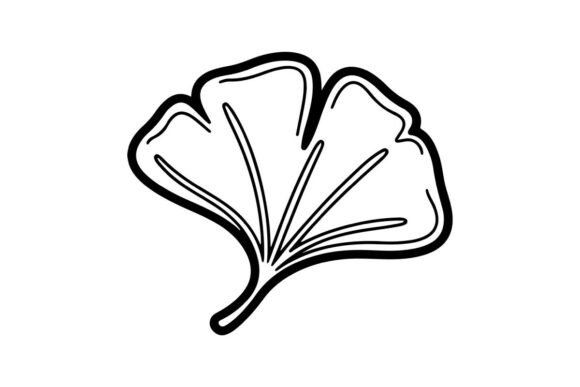 Ginkgo Leaf Outline: Graphics & Coloring Pages Amp
