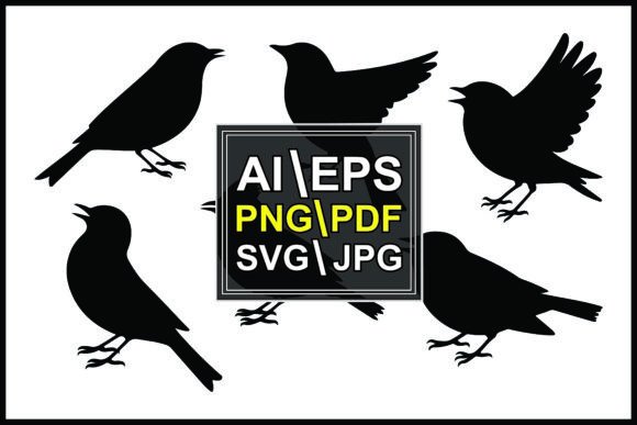 Silhouettes Birds in Different Poses: Graphic Illustrations