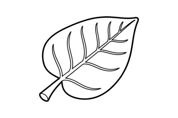 Simple Leaf Outline Art: Graphics & Illustrations for Branding