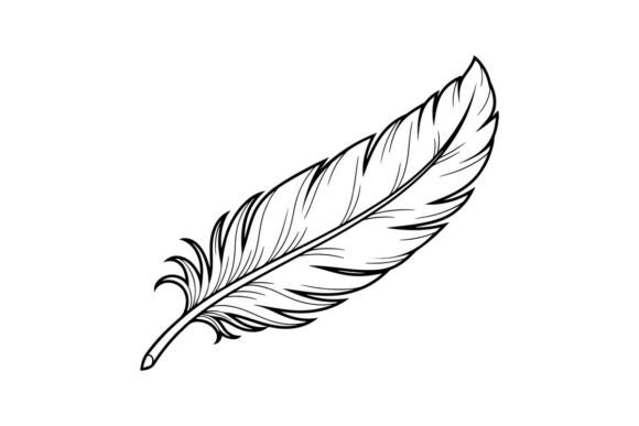 Single Feather Outline: Graphics for Coloring Pages Amp