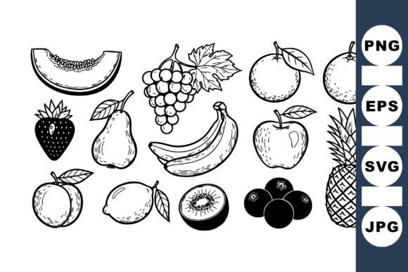 Vintage Fruit Sketch Clipart for Craft Graphics
